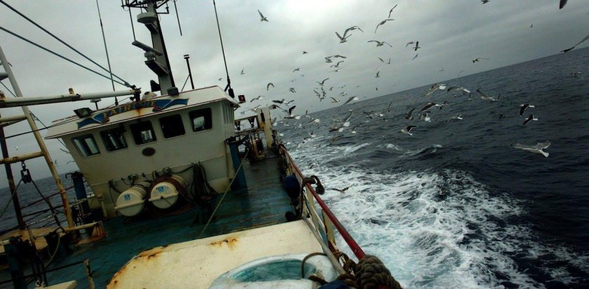 Рыболовное судно Териберка Мурманск