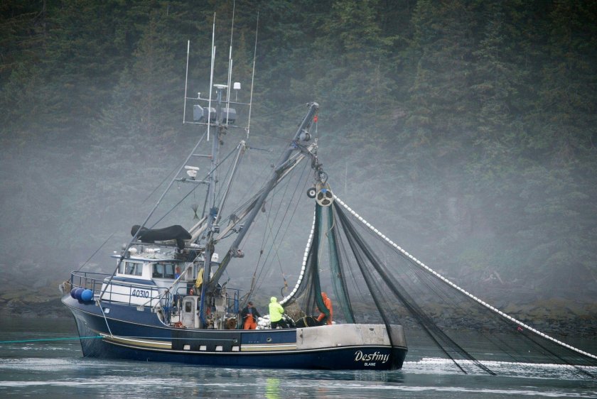 Рыболовецкий сейнер