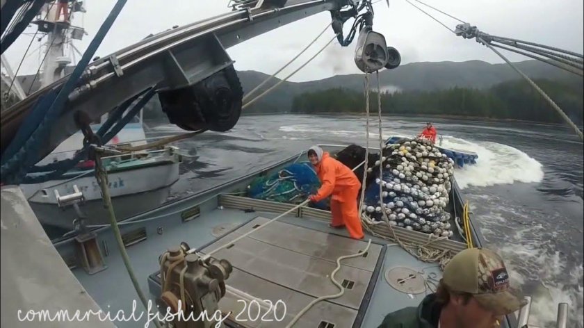 Рыболовные войны