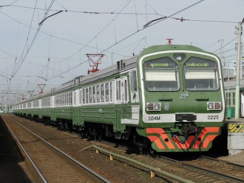 Эд4м Нара 2008