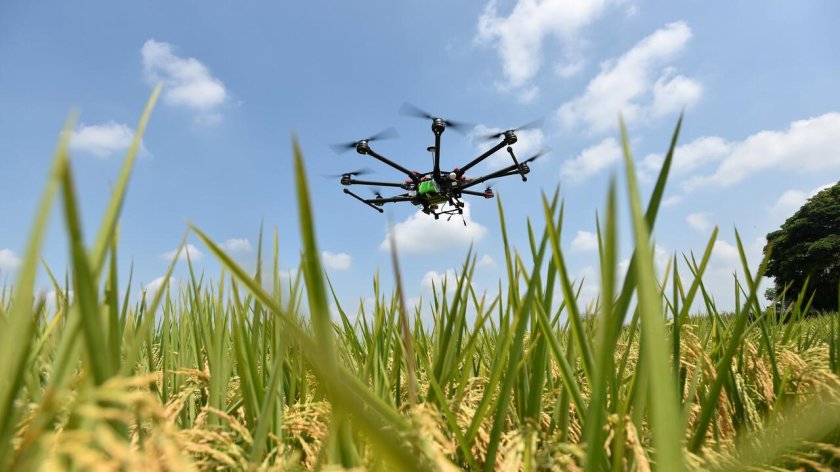 Дроны в сельском хозяйстве