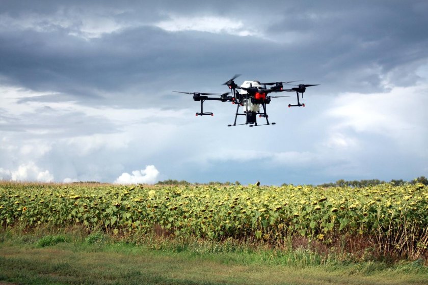 Беспилотник в сельском хозяйстве