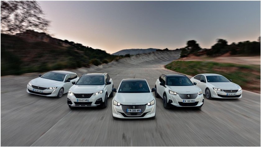 Peugeot 3008 2009 2013