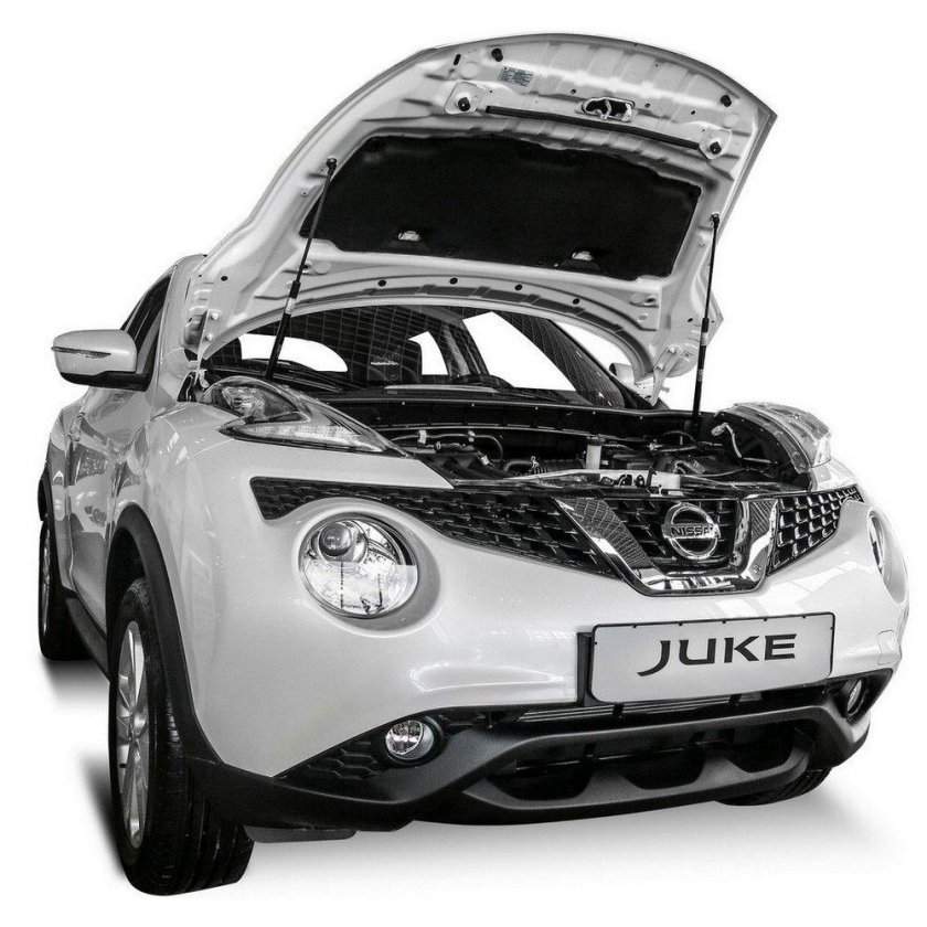 Nissan Juke 2010