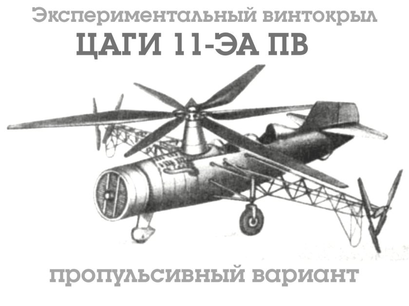 Цаги 11-эа