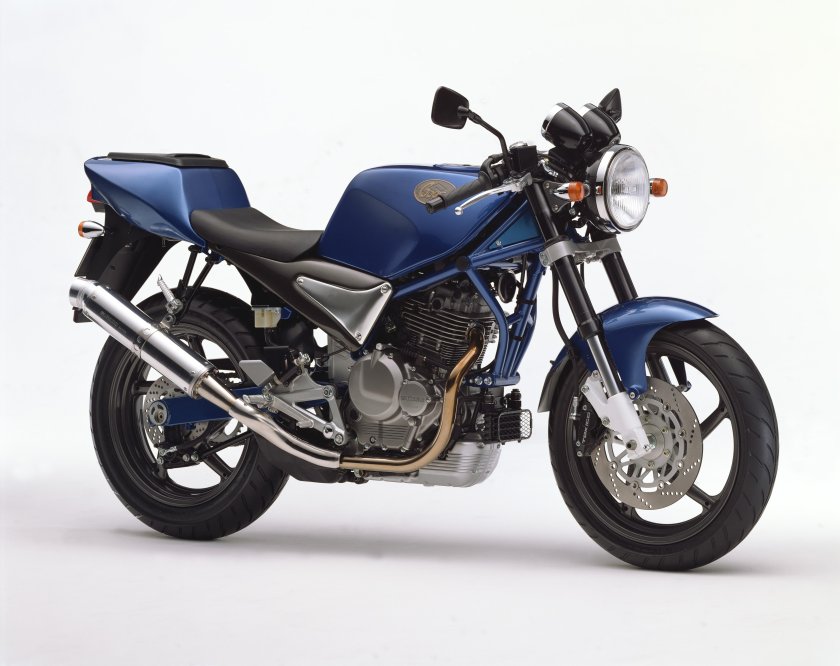 Suzuki goose 350