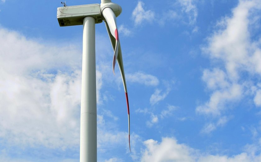 Ветряк раст