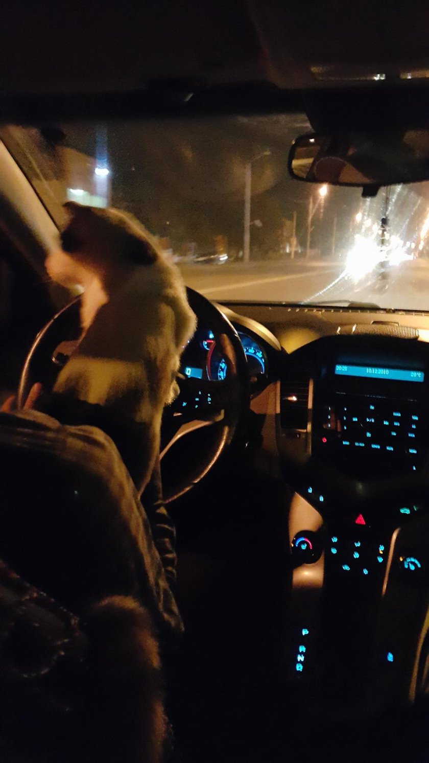 Ночные покатушки Рендж Ровер