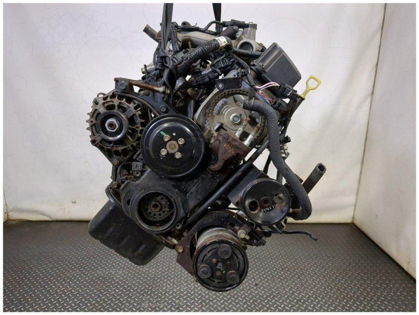 Кис Пиканто 2009