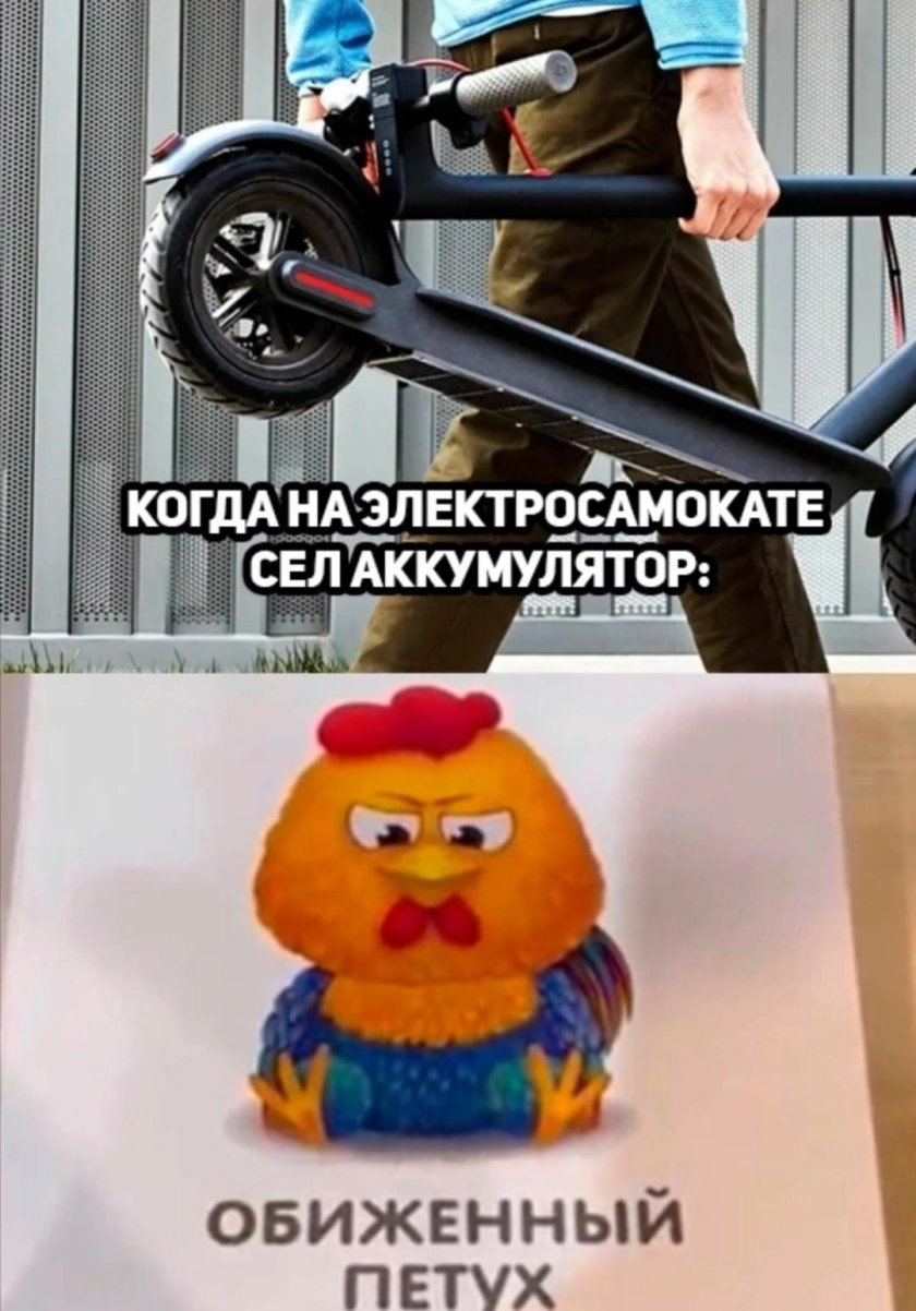 Петух на самокате