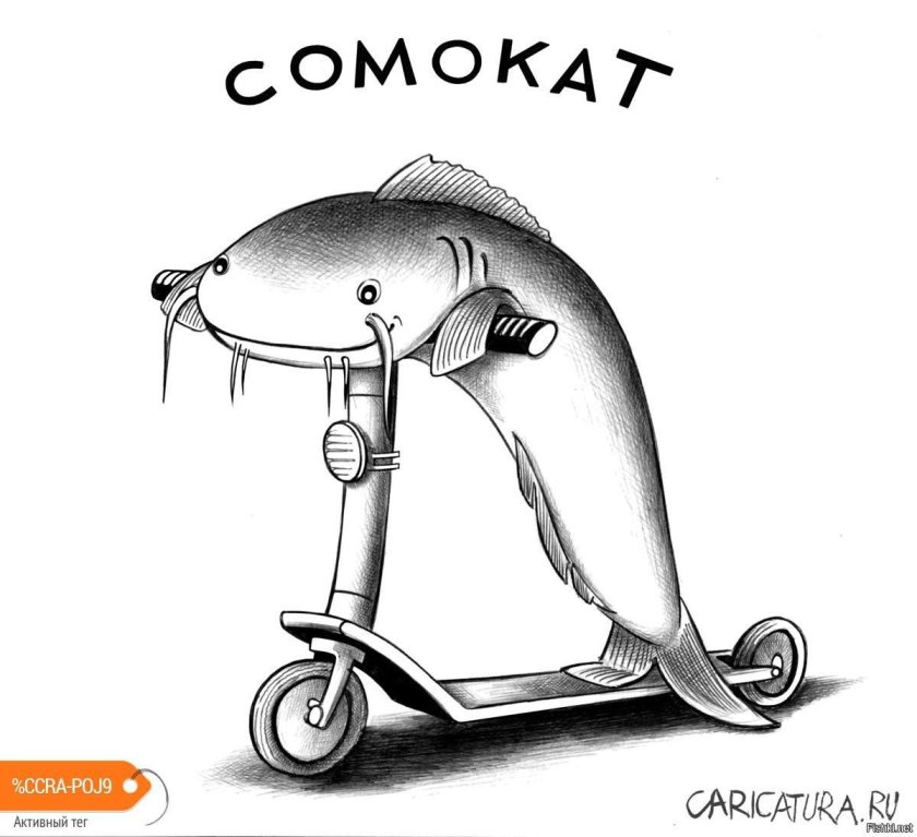 Самокат карикатура