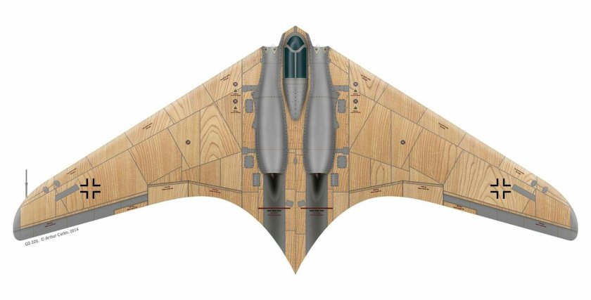 Самолет ho 229