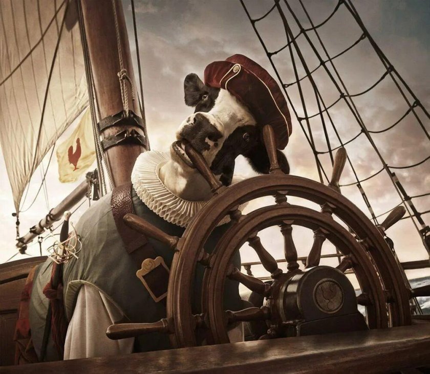 Капитан за штурвалом парусника