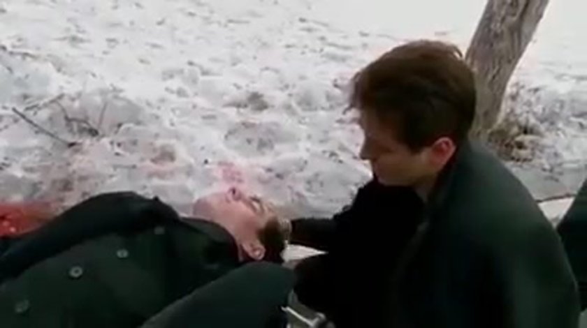 Бригада Саша белый космос пчела Фил