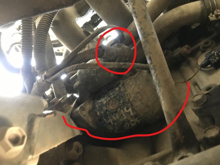 Nissan Expert дизель стартер