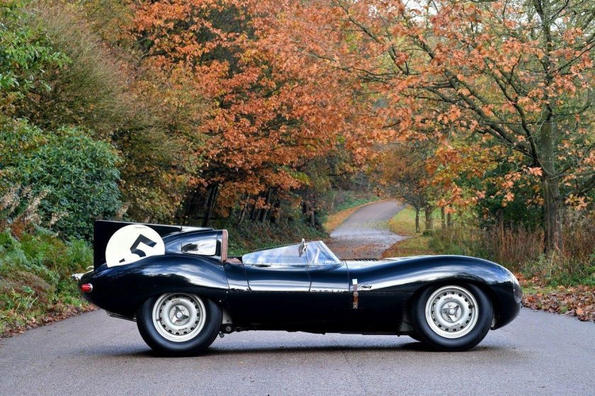 Jaguar d Type 1956