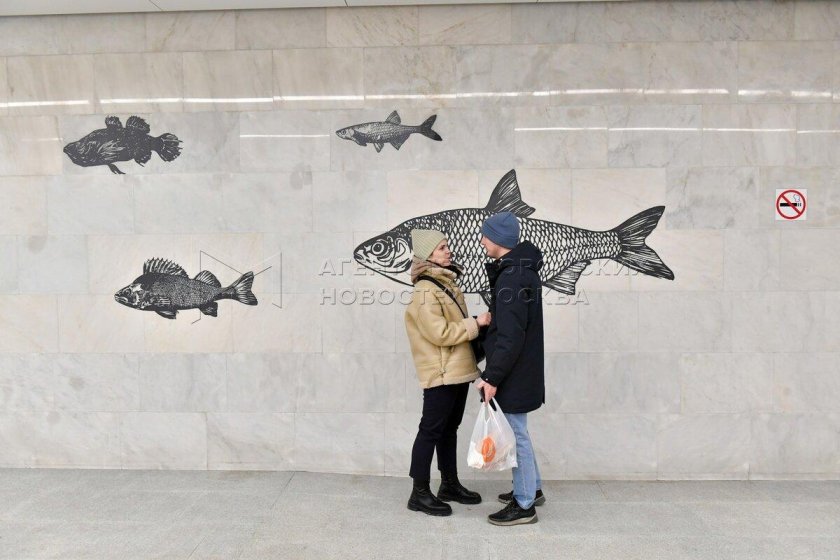 БКЛ Нагатинский Затон