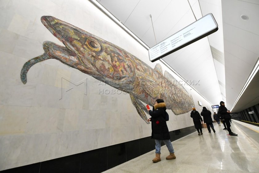 Метро БКЛ Нагатинский Затон