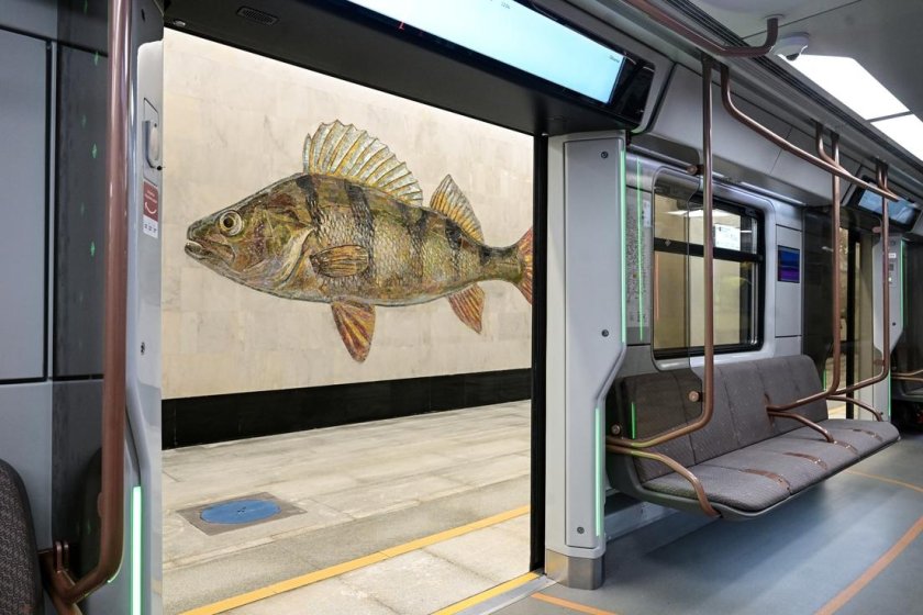 Нагатинский Затон станция метро рыбы