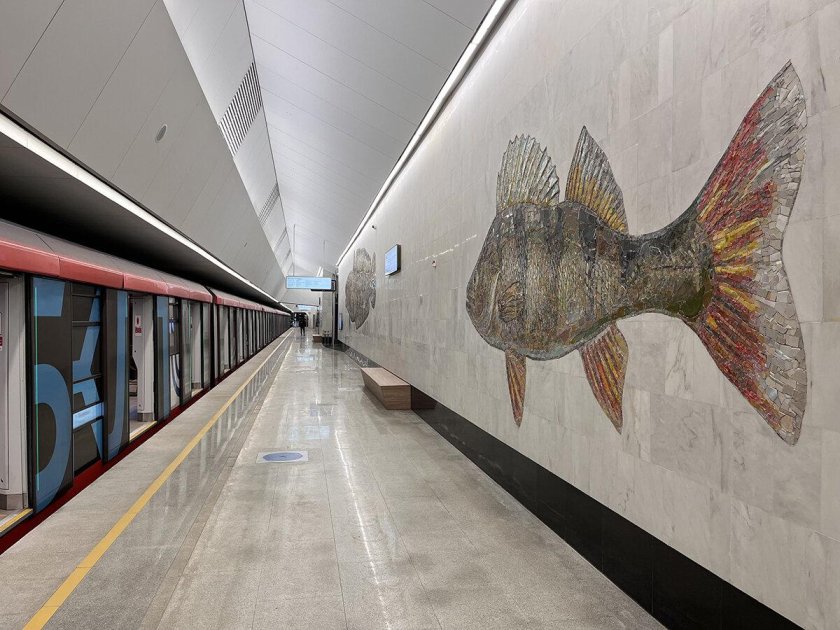 Станция Нагатинский Затон