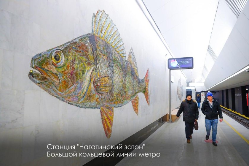 Нагатинский Затон станция метро рыбы