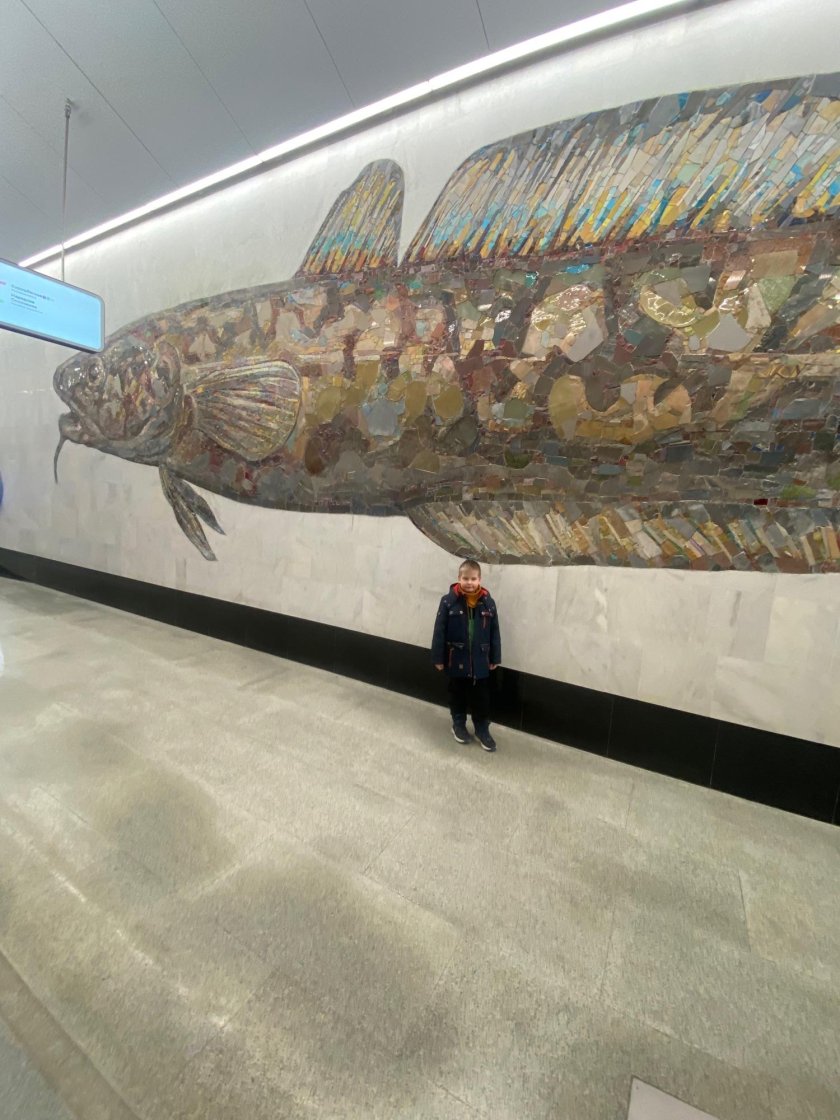 Нагатинский Затон (станция метро)