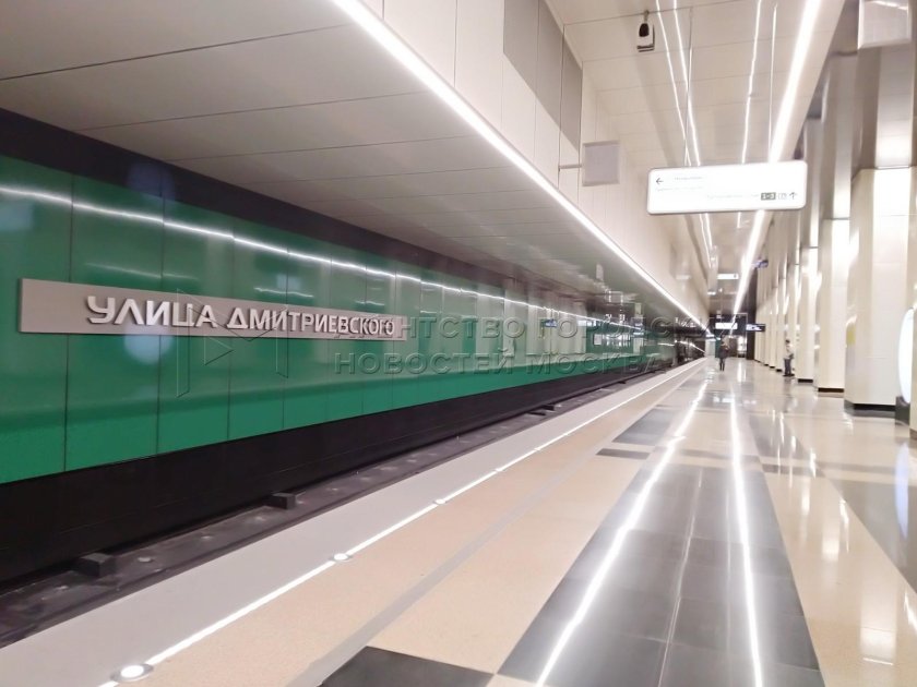 Авиамоторная розовая ветка