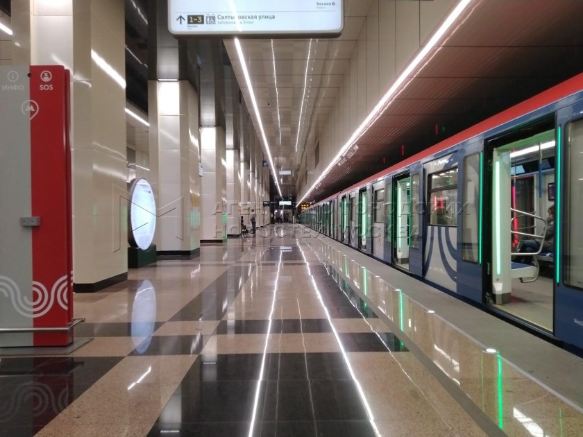 Станция метро дмитриевского