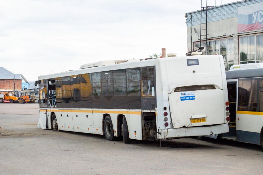 Автобус ГОЛАЗ 622810