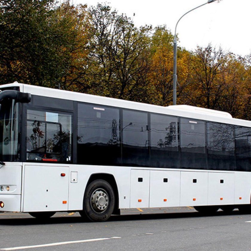 ГОЛАЗ-6228.10 ”Scania“