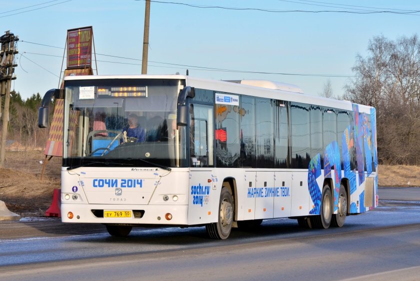 Голаз 622810