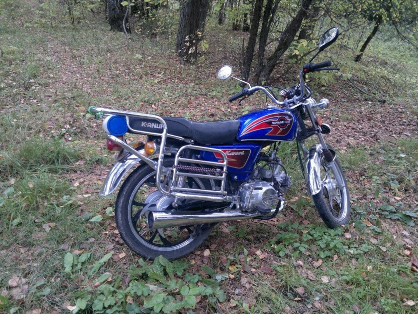 Альфа рейсер синяя