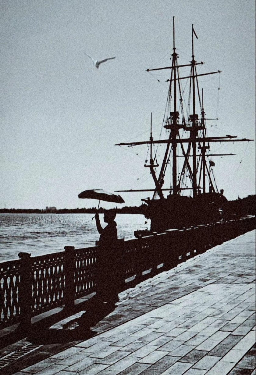 Адмиралтейская набережная воронеж