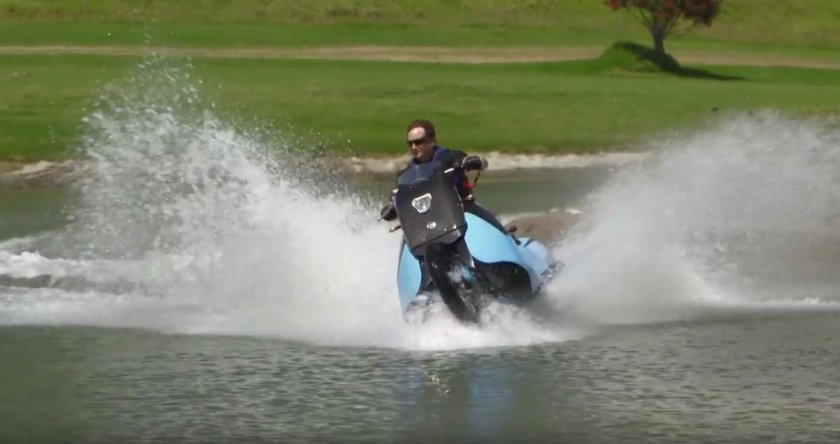 Биски амфибия