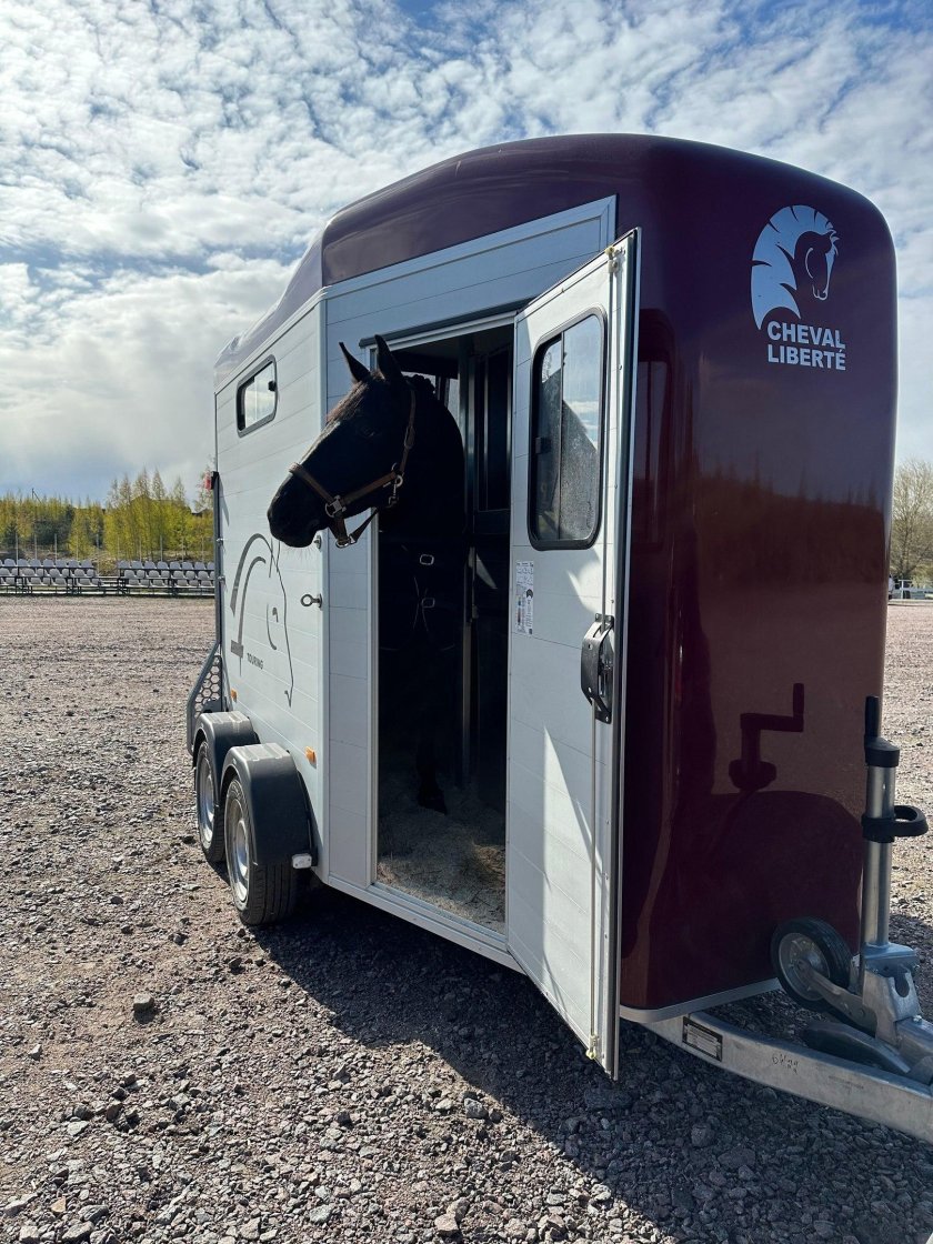 Коневоз cheval liberte