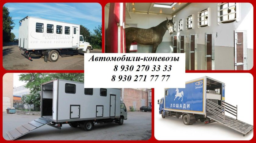 Коневоз для лошадей КАМАЗ