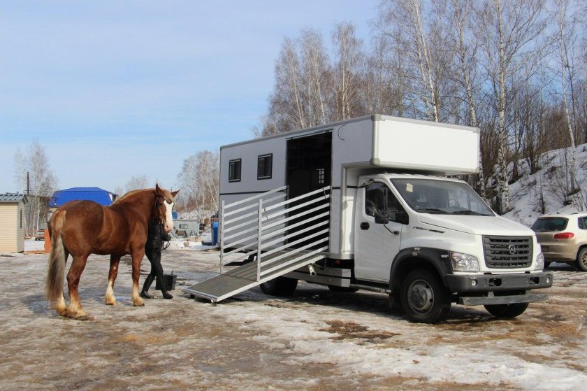 Газон Некст фургон коневоз