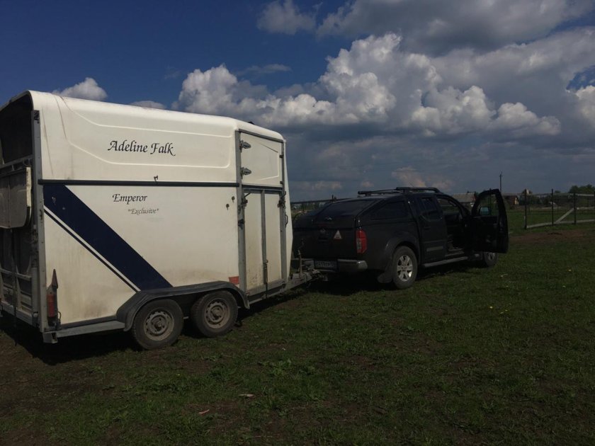 Прицеп коневоз