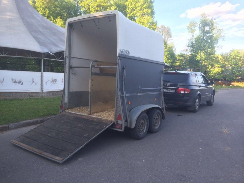 Пежо боксер коневозка