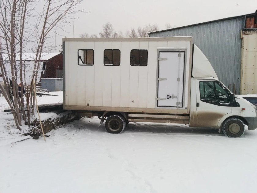 Газель коневоз