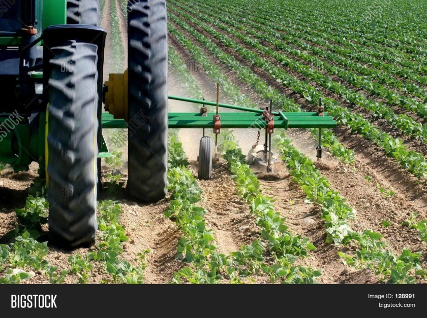 Агротехника высокая