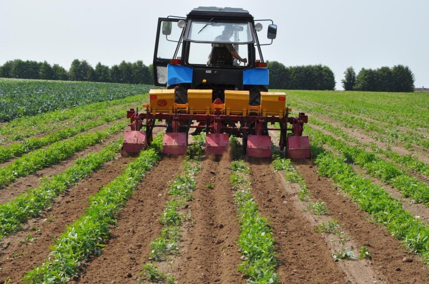 МТЗ 1221 междурядная культивация