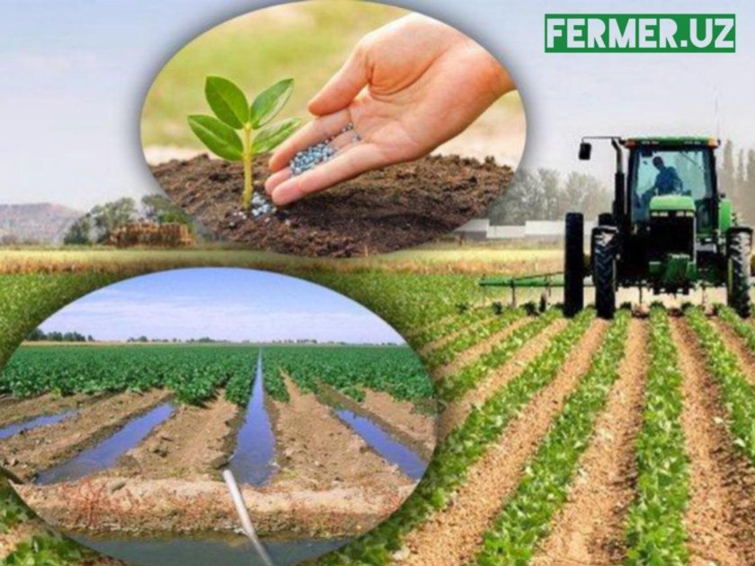 Кишлок хужалиги