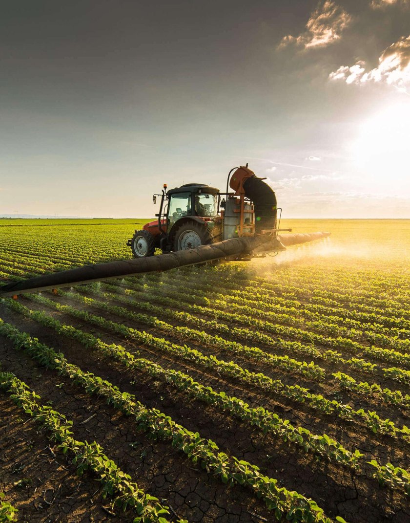 Сельскохозяйственное поле