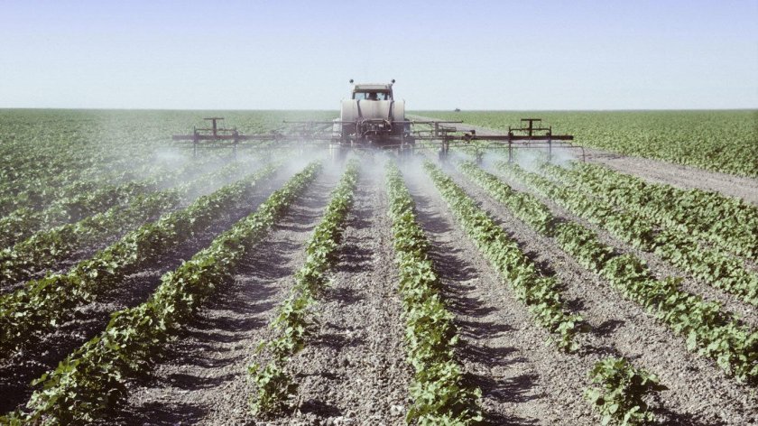 Культивация хлопок