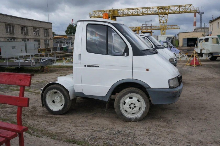 Газель коротыш