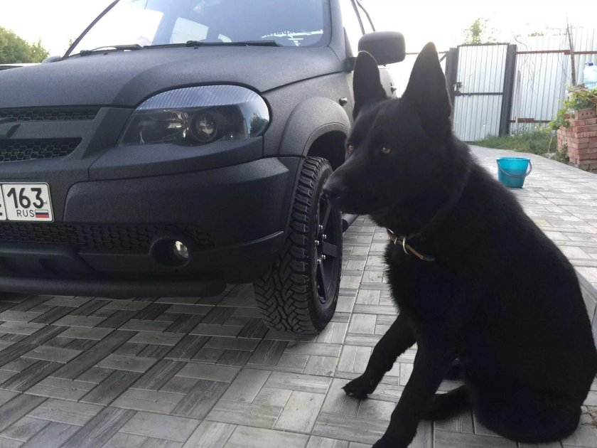 Нива Шевроле Раптор