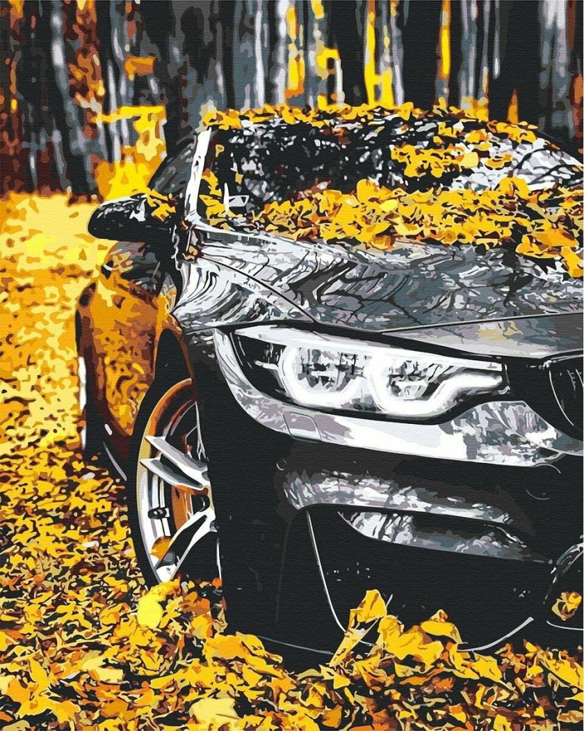 БМВ х6 осень