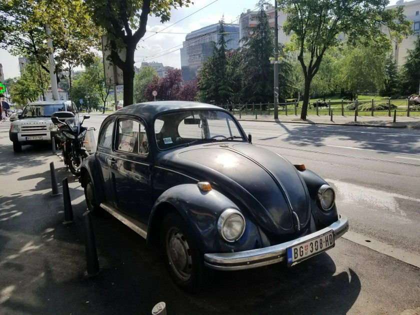 Beetle volkswagen