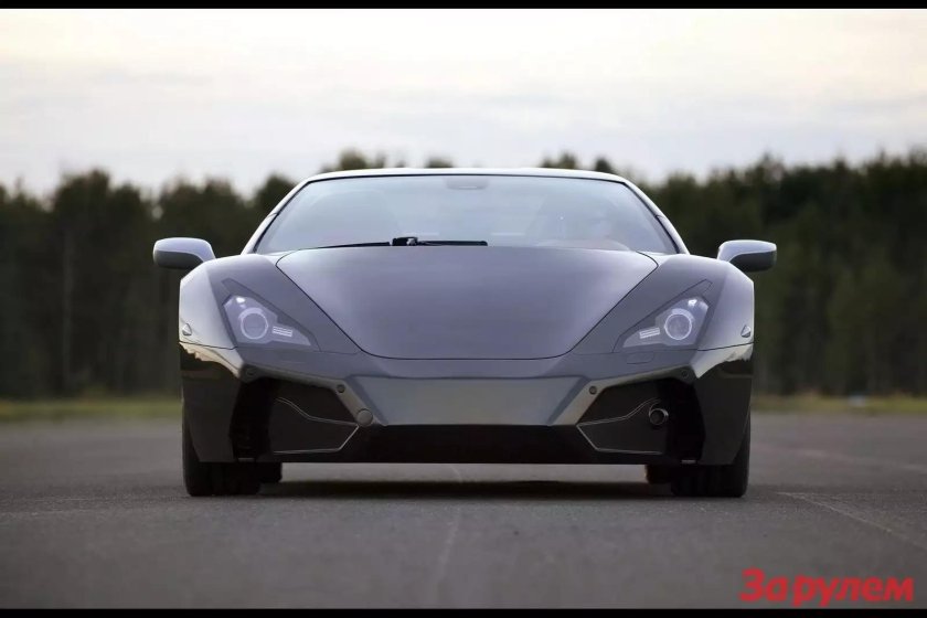 Arrinera Hussarya gt